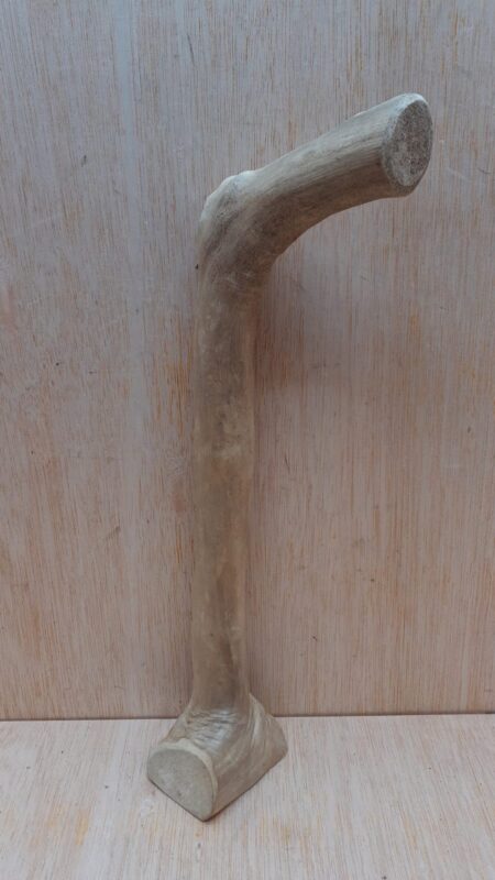 Java Wood - Single Stem - Small 13