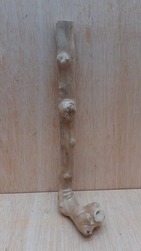 Java Wood - Single Stem - Small 14