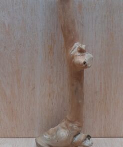 Java Wood - Single Stem - Small 16