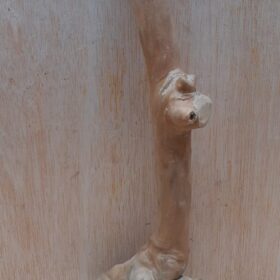 Java Wood - Single Stem - Small 16