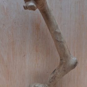 Java Wood - Single Stem - Small 17