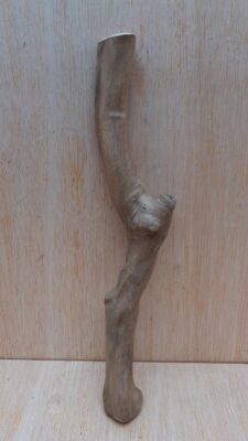 Java Wood - Single Stem - Small 18