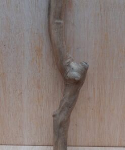 Java Wood - Single Stem - Small 18