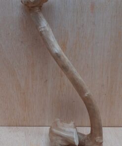 Java Wood - Single Stem - Small 20