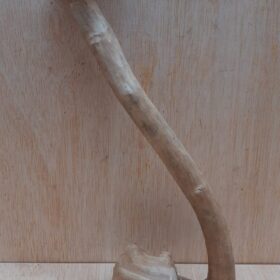 Java Wood - Single Stem - Small 20