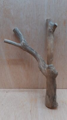 Java Wood - Double Stem - Small 13
