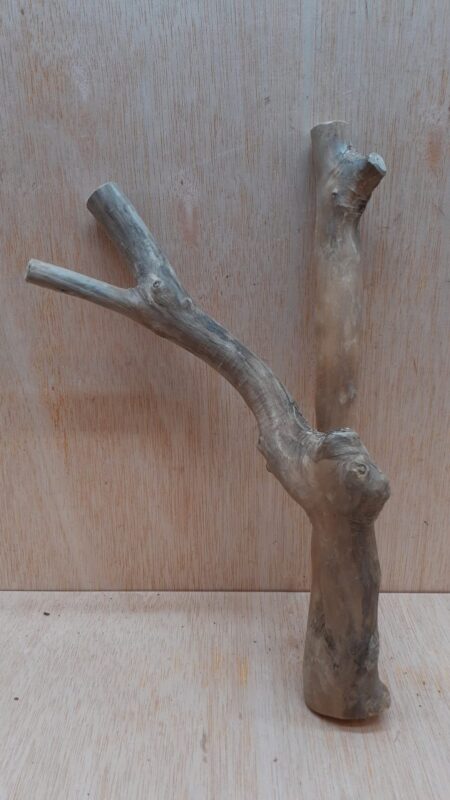 Java Wood - Double Stem - Small 13