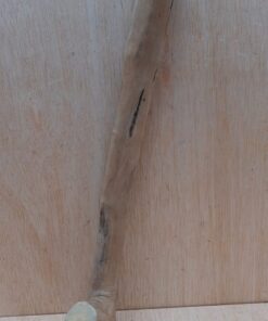 Java Wood - Single Stem - Medium 11