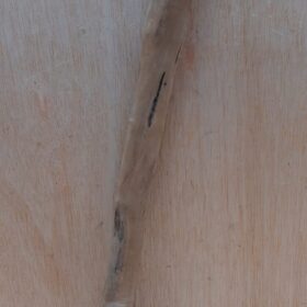 Java Wood - Single Stem - Medium 11