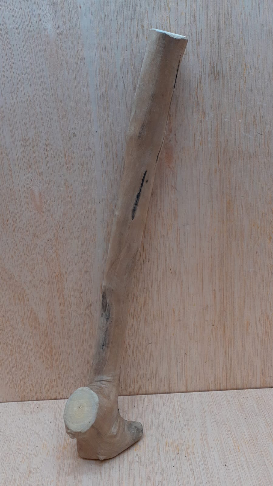 Java Wood - Single Stem - Medium 11