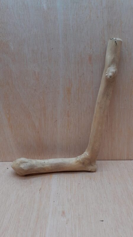 Java Wood - Single Stem - Medium 14