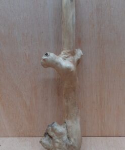 Java Wood - Single Stem - Medium 15