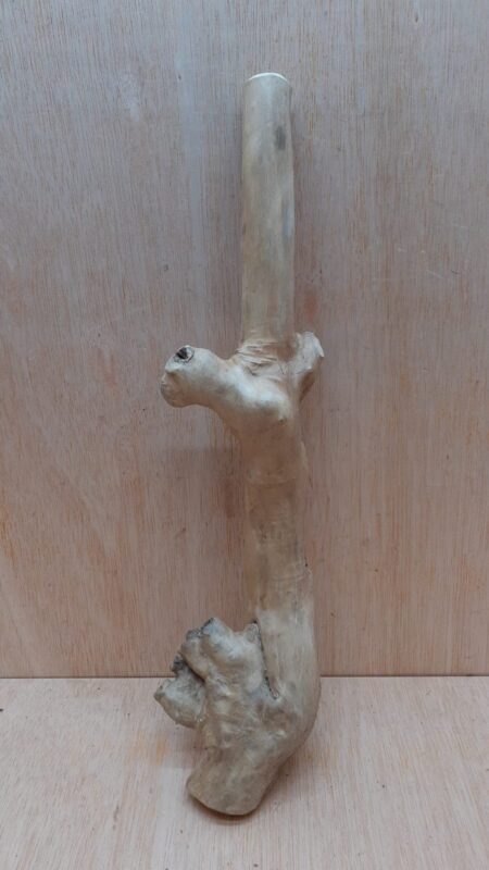 Java Wood - Single Stem - Medium 15