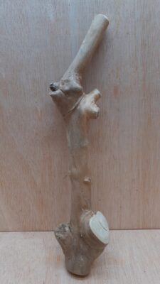 Java Wood - Single Stem - Medium 16