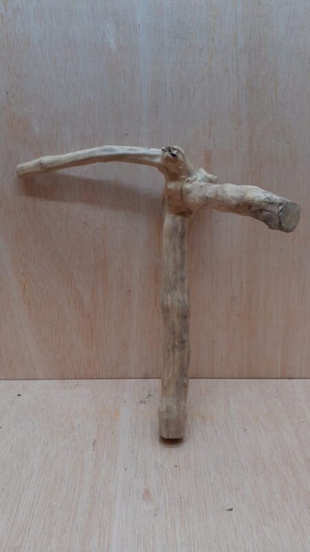 Java Wood - Single Stem - Medium 18