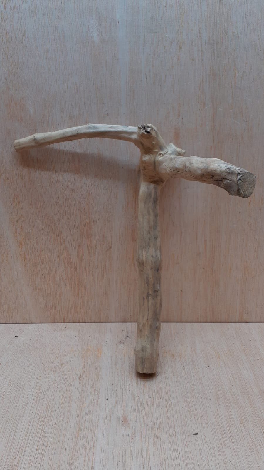 Java Wood - Single Stem - Medium 18