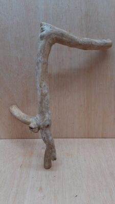 Java Wood - Single Stem - Medium 19