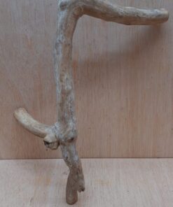 Java Wood - Single Stem - Medium 19