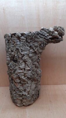 Large Cork Tube - 40-60cm - 12