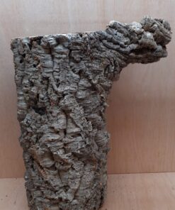 Large Cork Tube - 40-60cm - 12