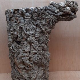 Large Cork Tube - 40-60cm - 12