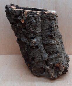 Large Cork Tube - 40-60cm - 13