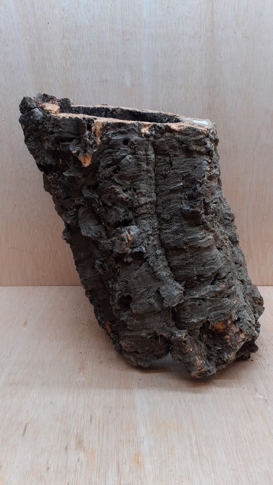 Large Cork Tube - 40-60cm - 13