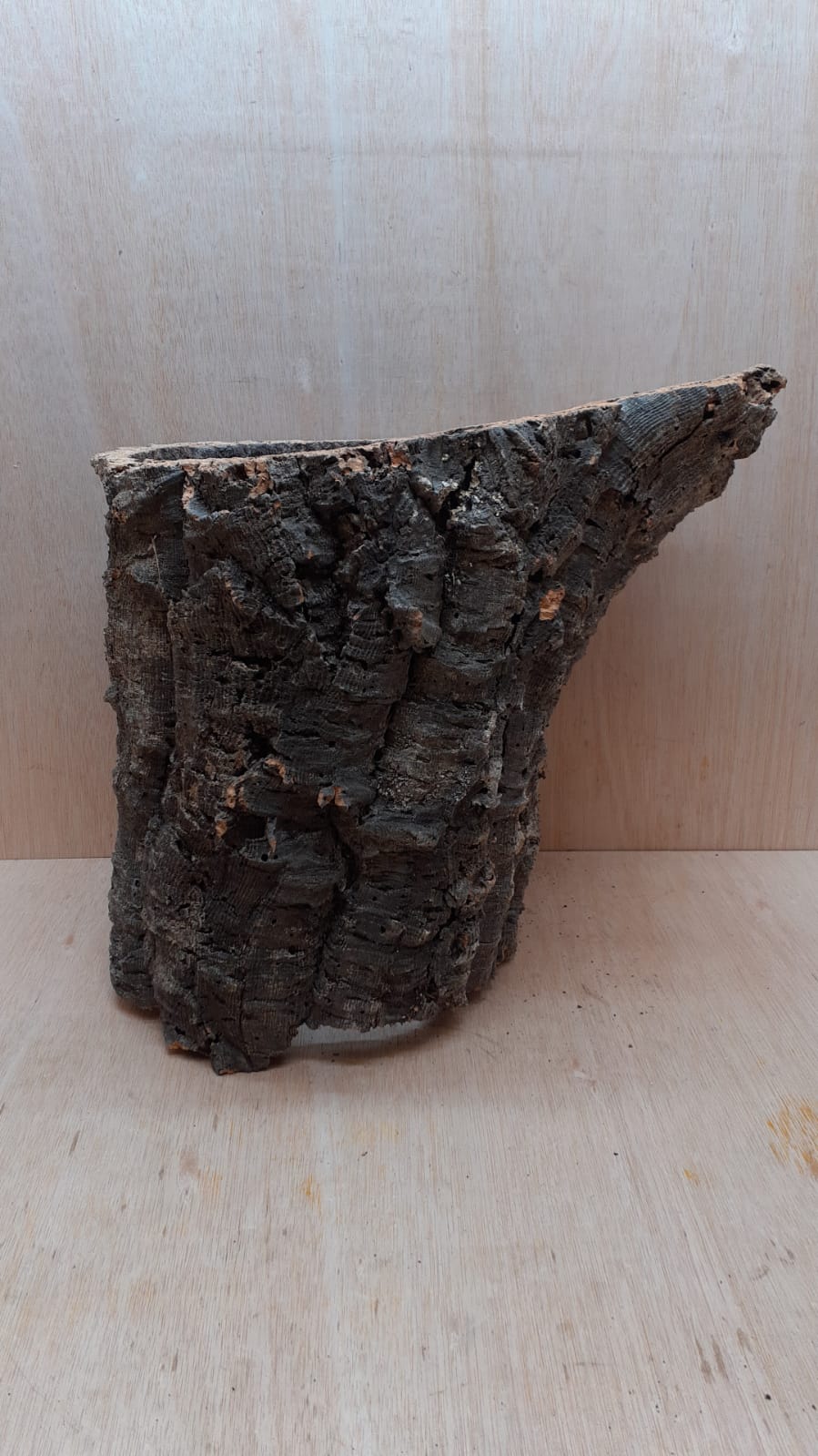 Large Cork Tube - 40-60cm - 11