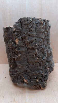 Large Cork Tube - 40-60cm - 15