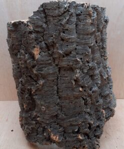 Large Cork Tube - 40-60cm - 15