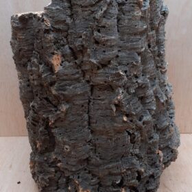 Large Cork Tube - 40-60cm - 15