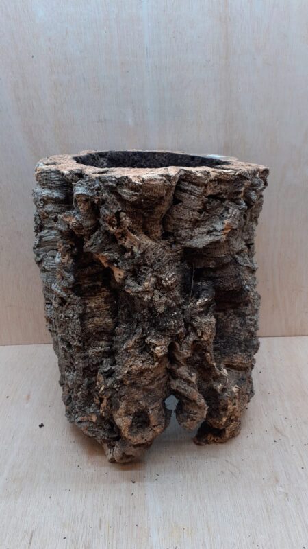 Large Cork Tube - 40-60cm - 14