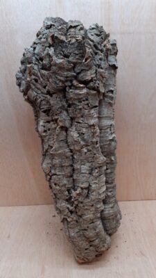 Large Cork Tube - 60-80cm - 12