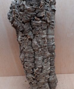 Large Cork Tube - 60-80cm - 12