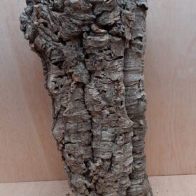 Large Cork Tube - 60-80cm - 12