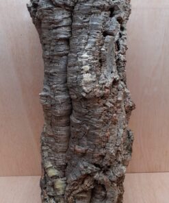 Large Cork Tube - 60-80cm - 13