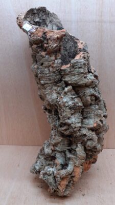 Large Cork Tube - 60-80cm - 14