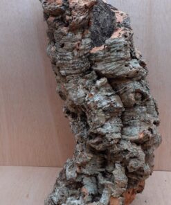 Large Cork Tube - 60-80cm - 14