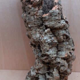 Large Cork Tube - 60-80cm - 14