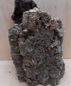 Large Cork Tube - Upto 40cm - 18