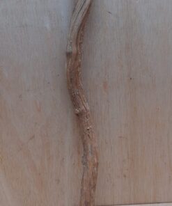 Straight Liana 2-3cm - Short - 11