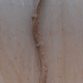 Straight Liana 2-3cm - Short - 11