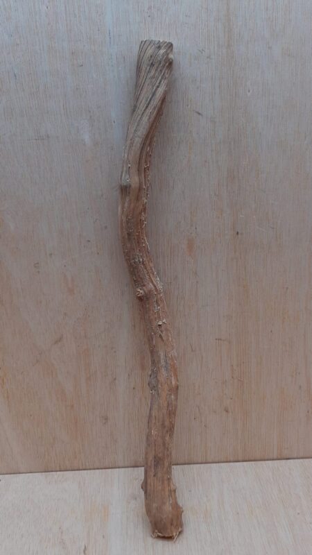 Straight Liana 2-3cm - Short - 11