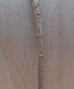 Straight Liana 2-3cm - Short - 12