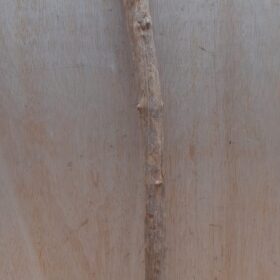 Straight Liana 2-3cm - Short - 12