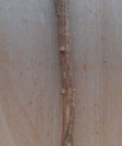 Straight Liana 2-3cm - Short - 14