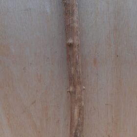 Straight Liana 2-3cm - Short - 14