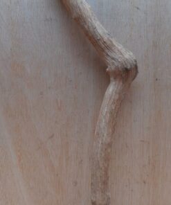 Straight Liana 2-3cm - Short - 15