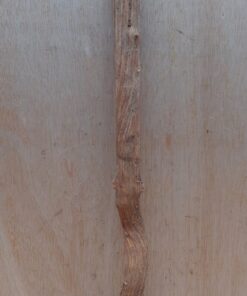 Straight Liana 2-3cm - Short - 16