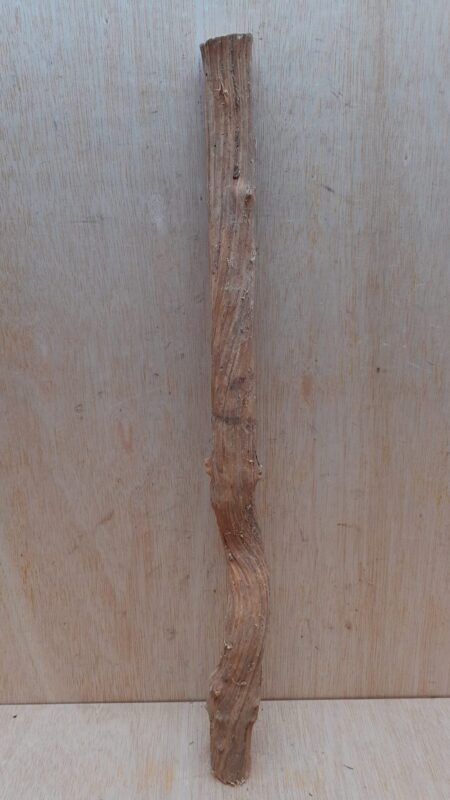 Straight Liana 2-3cm - Short - 16